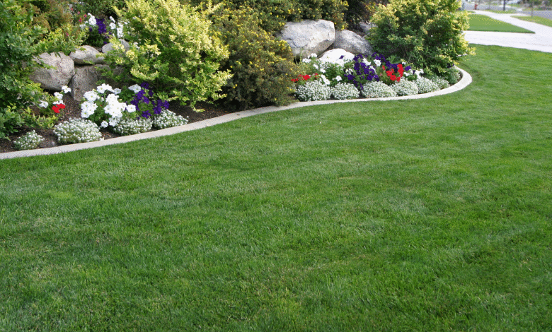 Greener Grass Landscaping