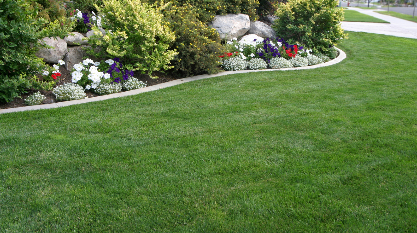Greener Grass Landscaping